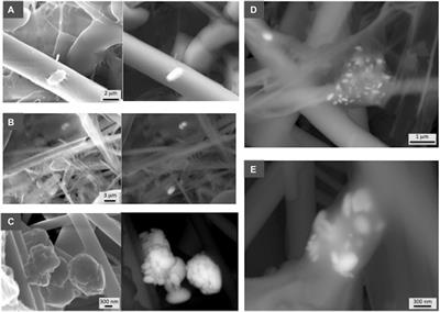 Barite Precipitation on Suspended Organic Matter in the Mesopelagic Zone
